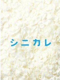 [DVD] シニカレ