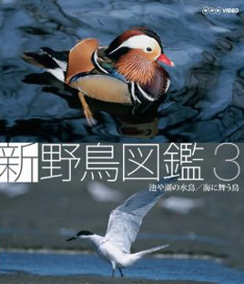 Blu-ray 新 野鳥図鑑 第3,4集
