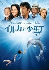 [DVD] イルカと少年