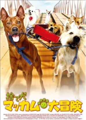 [DVD]捨て犬マッカムの大冒険「洋画 DVD ファミリー」