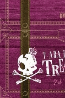 [DVD] T-ARA JAPAN TOUR 2013~TREASURE BOX~LIVE IN BUDOKAN