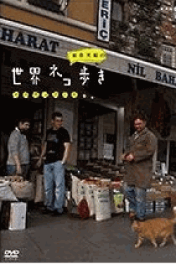 [DVD] 岩合光昭の世界ネコ歩き