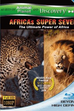 AFRICAS SUPER SEVEN アフリカの覇者達