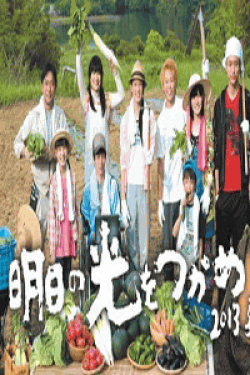 DVD] 明日の光をつかめ ~2013 夏~ 日本現代ドラマ 韓国ドラマDVDの激安通販