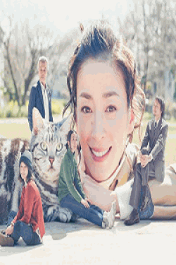 [DVD] 連続ドラマW グーグーだって猫である2 -good good the fortune cat【完全版】(初回生産限定版)