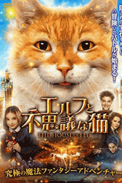 [DVD] エルフと不思議な猫