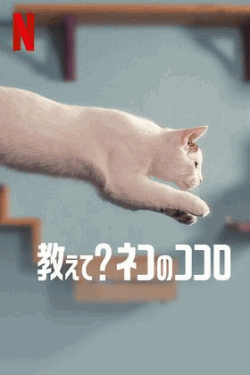 [DVD] 教えて？ ネコのココロ