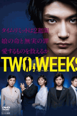 [DVD] TWO WEEKS