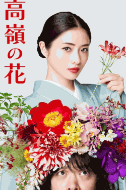 [DVD] 高嶺の花