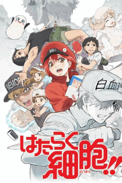 [DVD]  はたらく細胞!!