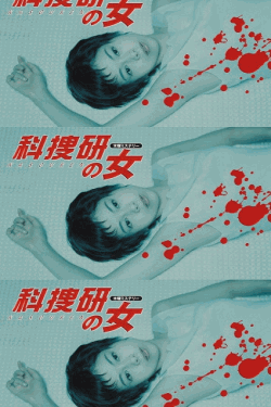 [DVD]  科捜研の女 Season2